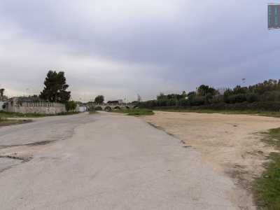 Dalle abitazioni parte poi via del Pantano, una strada asfaltata solo per met� che conduce agli archi die due cavalcavia...